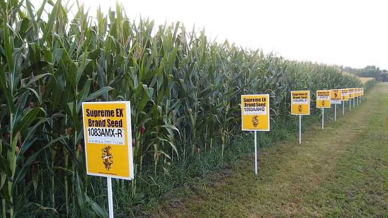 10 Most BIZARRE Genetically Modified Plants EVER
