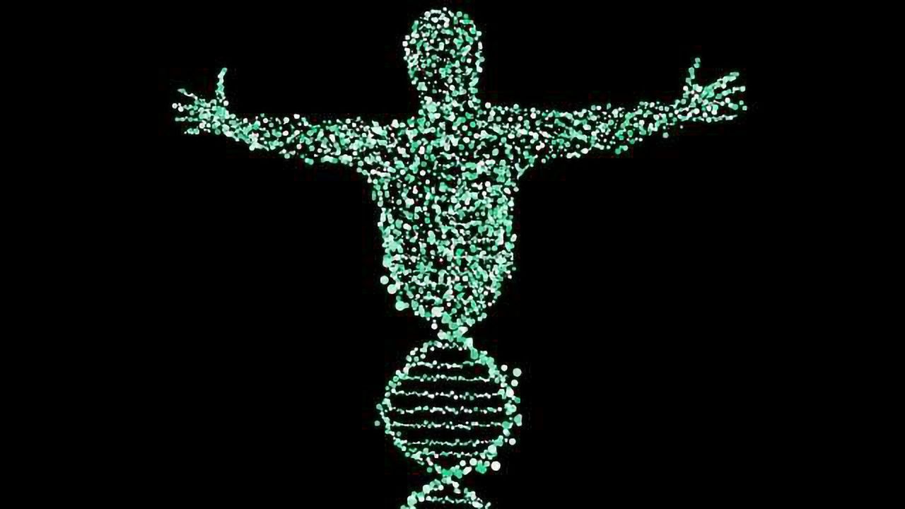 26 Novel Genes Linked to Intellectual Disability
