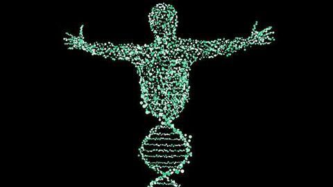 26 Novel Genes Linked to Intellectual Disability