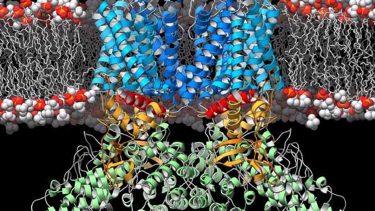 Outsourced Ion Channel Testing Trends