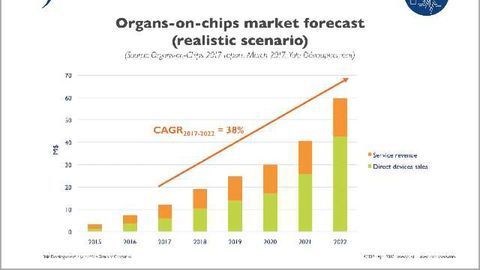 Organs-on-chips: Small Market and Gigantic Promise