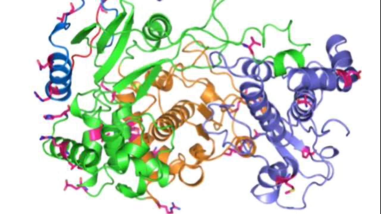 Protein Critical to Zika Virus Found