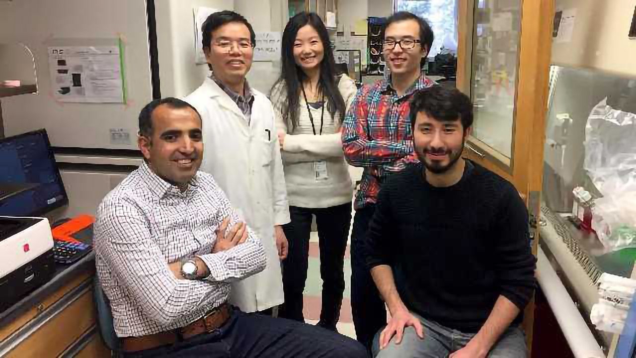 Imaging the Genome in Action in Live Cells