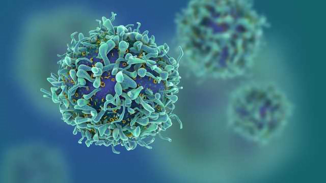 The Latest Research on Prevention and Defence Against Cancer- Highlights from AACR 2017