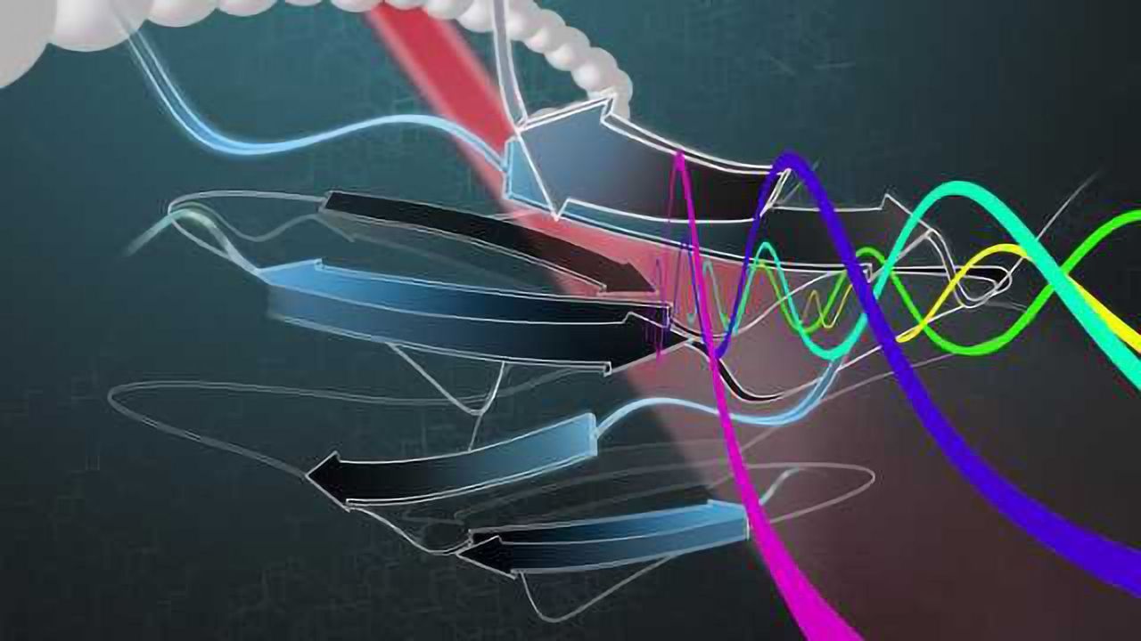 Femto-second Screening Machine can Read and Separate Proteins