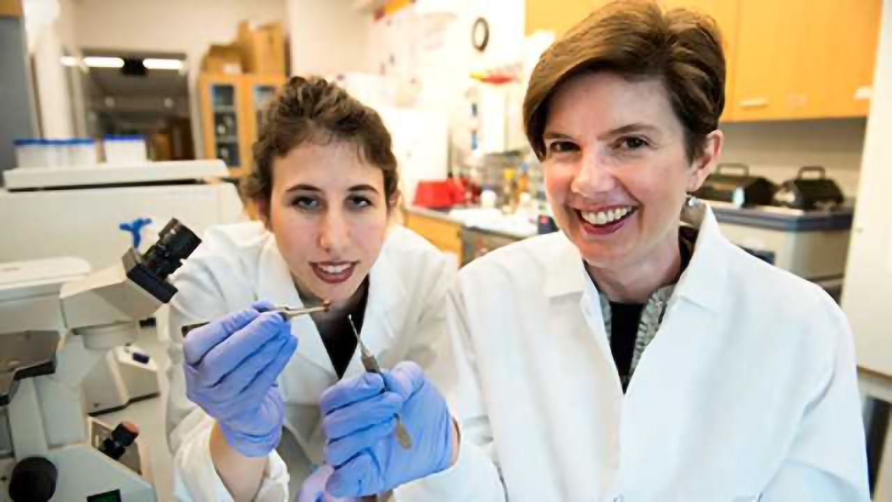 3D-printed Patch Can Help Mend a ‘Broken’ Heart