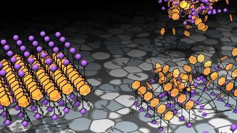 Tweaking Structure Can Impact Crystallization
