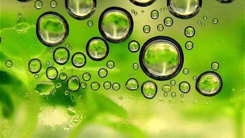 Genetics Breakthrough Gives Sustainable Biofuels A Big Boost