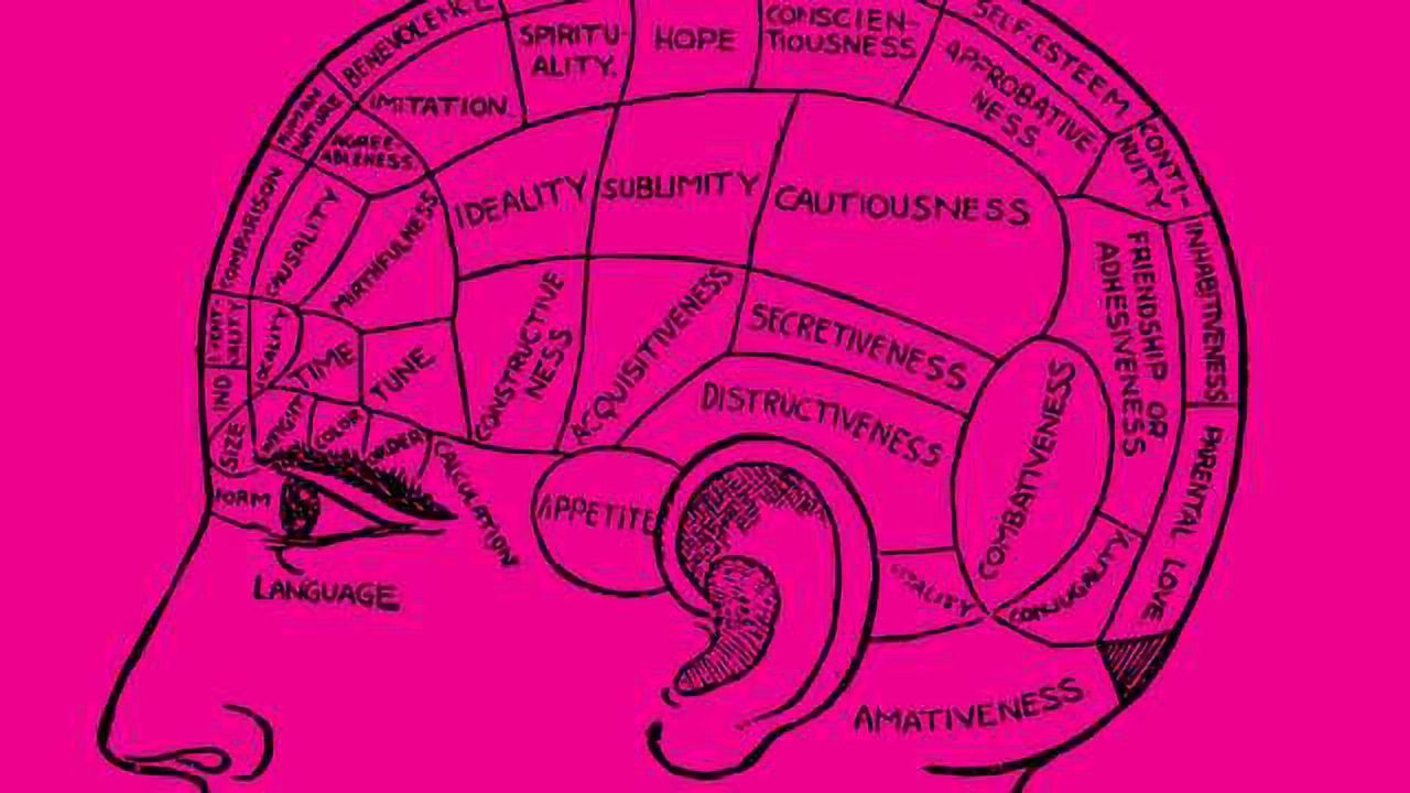 Representation of Multiple Body Parts in the Missing-Hand Brain Area Smashes Dogma