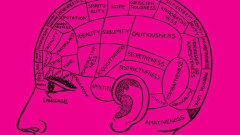 Representation of Multiple Body Parts in the Missing-Hand Brain Area Smashes Dogma