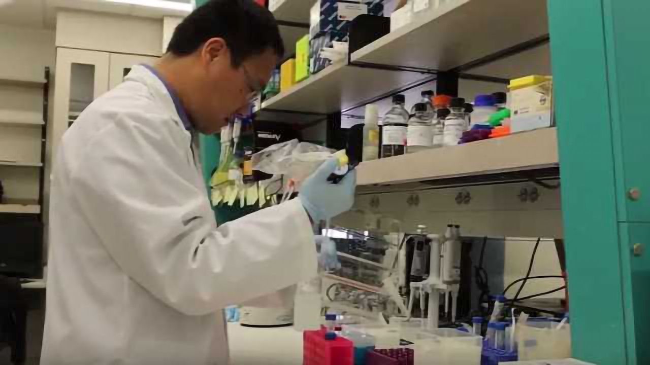 Working Out Which Therapy is Best for Treating Metastatic Cancer