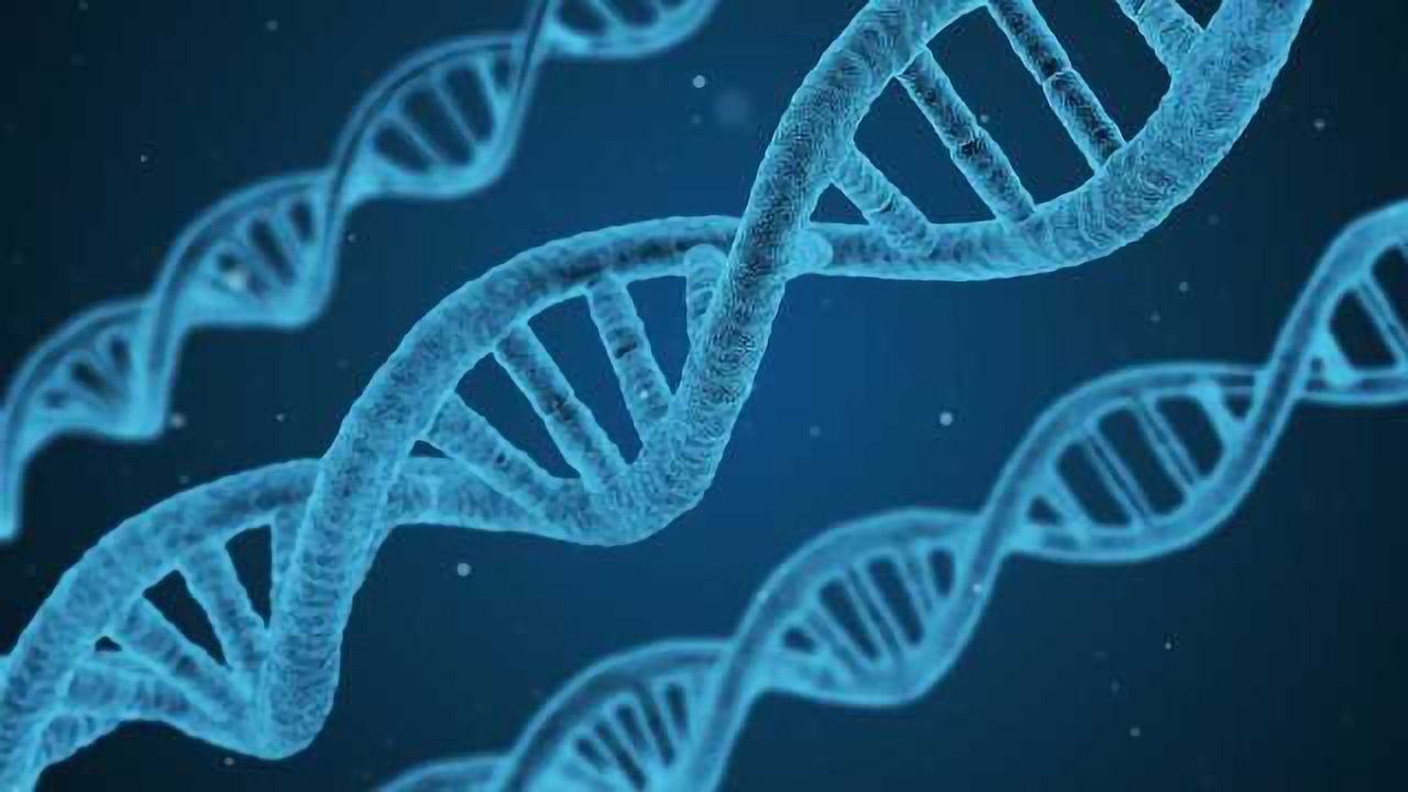 A Promising Model for a Devastating Genetic Deficiency