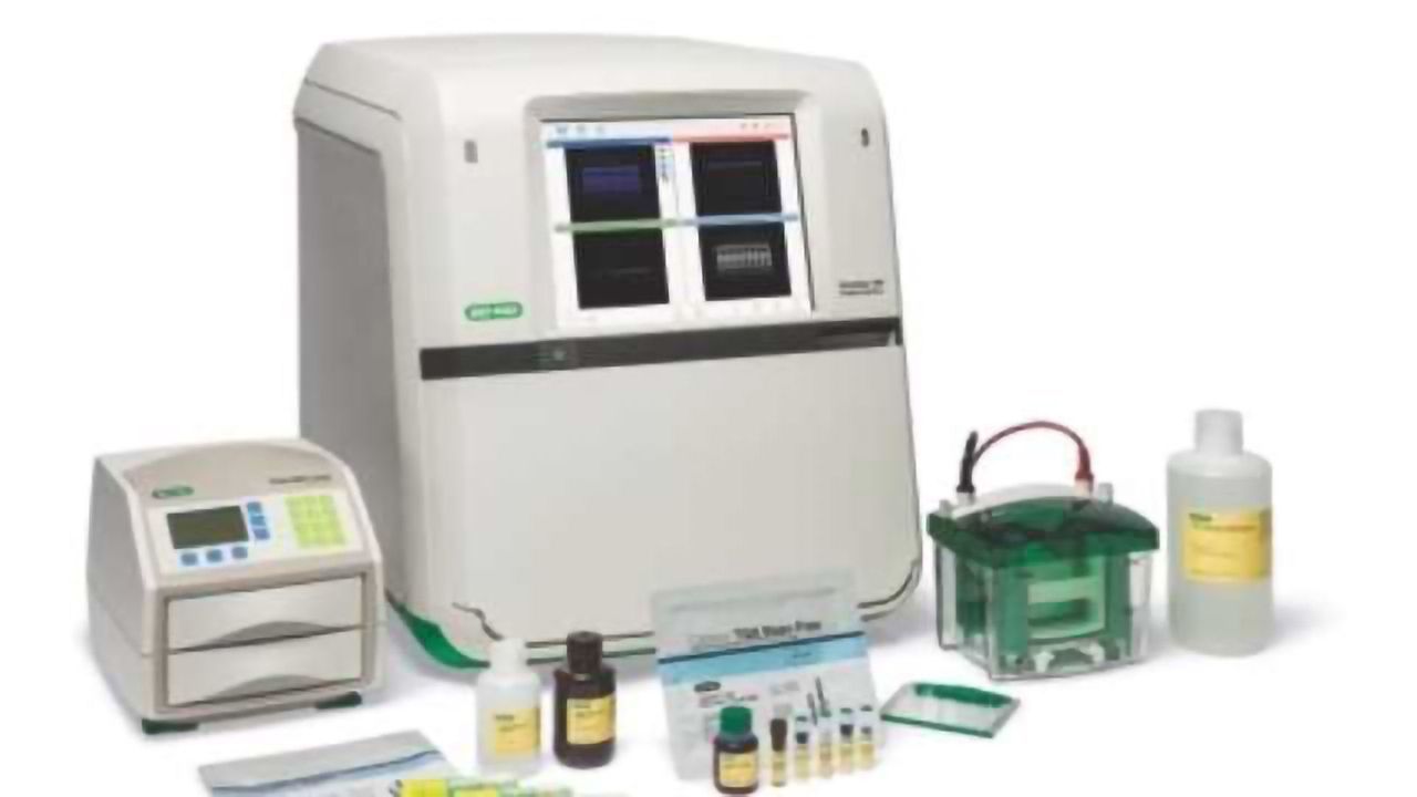 Fluorescent Multiplex Detection of Proteins in Western Blots