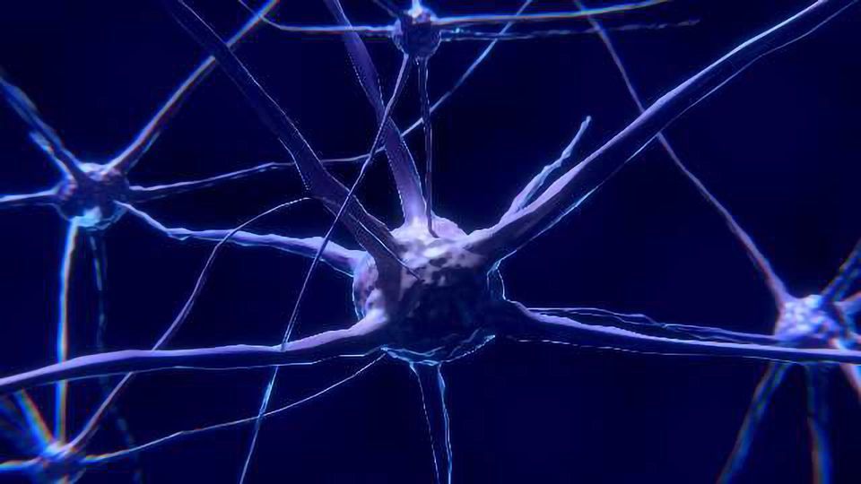 Antisense Oligonucleotide Shows Promise in Treatment of ALS and Spinocerebellar Ataxia Type 2 content piece image