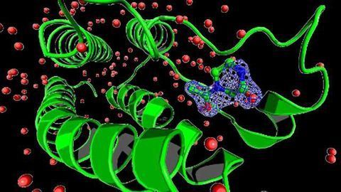 Game-Changing PanDDA Method Unveils Previously Hidden 3D Structure Data