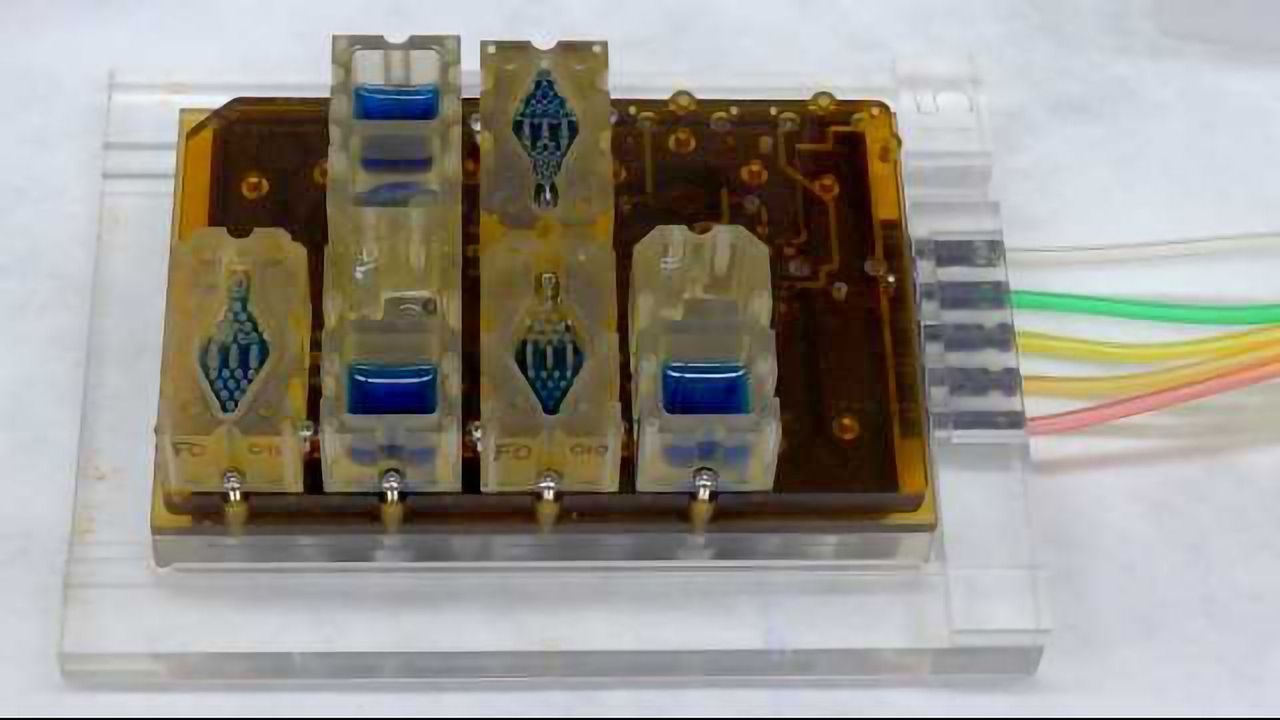 Organs-on-Chips: Applications, Challenges, and the Future