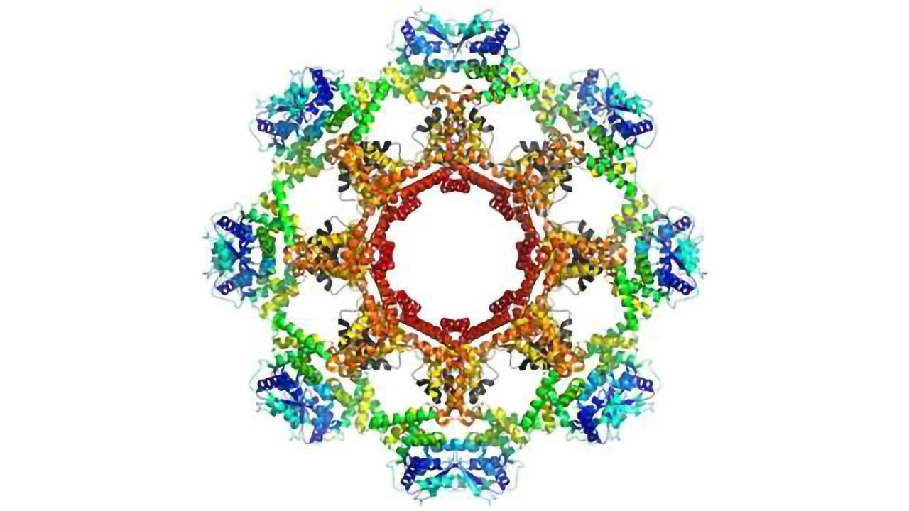 Fighting Infectious Diseases Using 3D Weapons