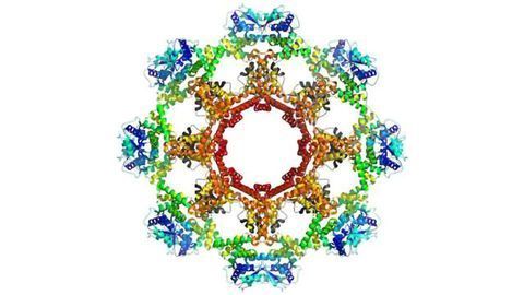 Fighting Infectious Diseases Using 3D Weapons