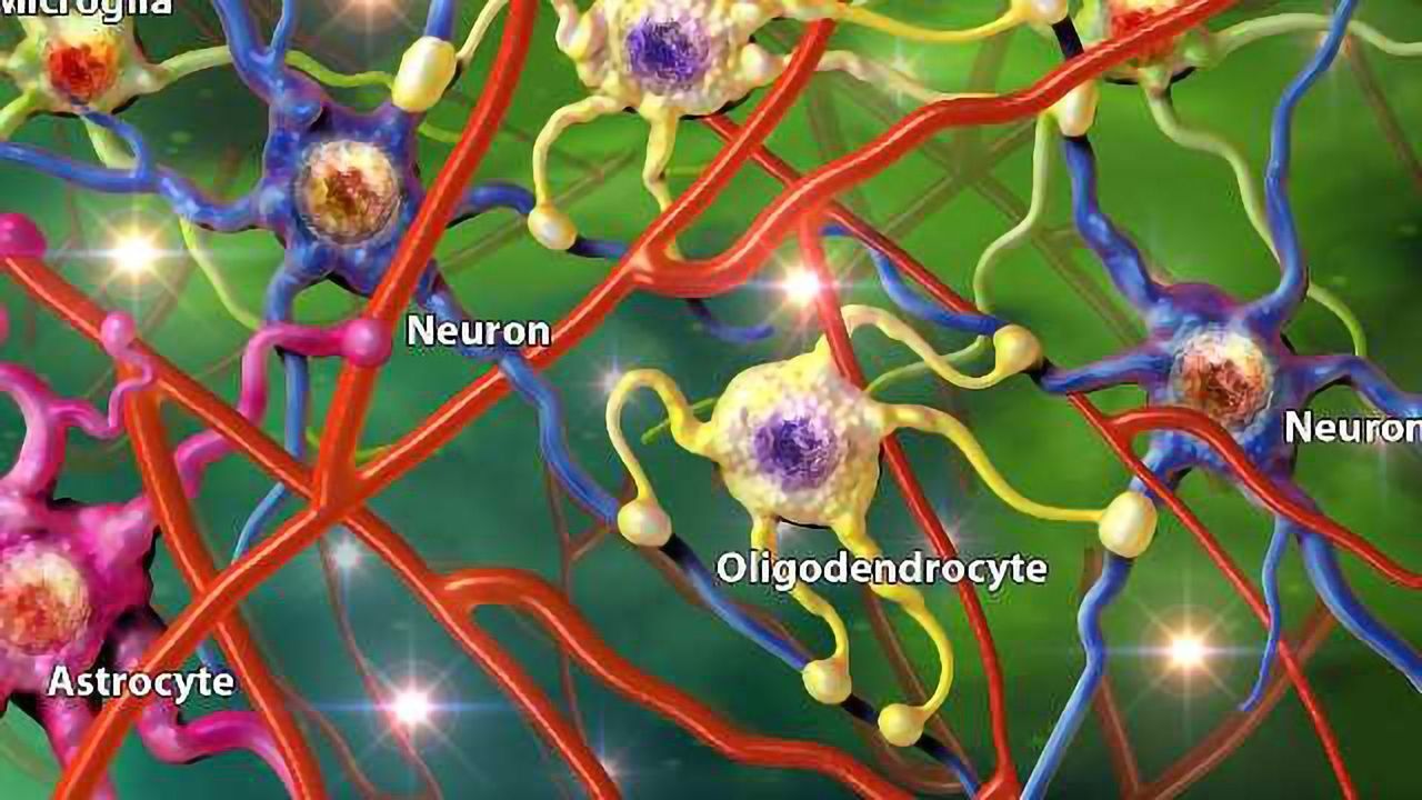 Target C3 Complement in Astrocytes