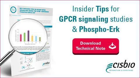 Insider Tips for GPCR signaling studies & phospho-Erk