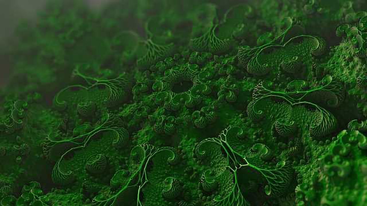 Microbiological Safety Testing of Cannabis