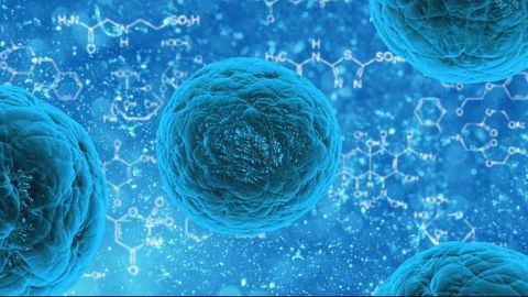 New ADME/Tox Products Enable More In Vivo-like Testing