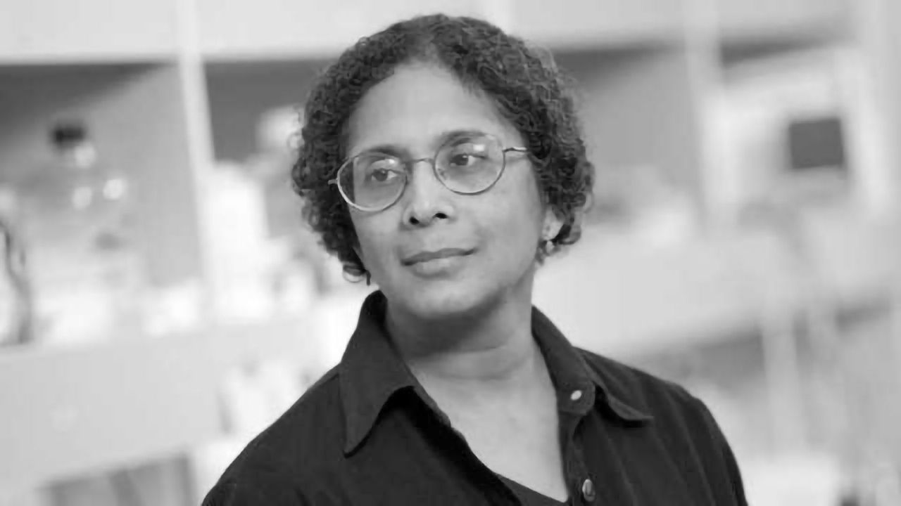 Cambridge Epigenetix Licenses Fundamental DNA Methylation IP from Boston Children’s Hospital