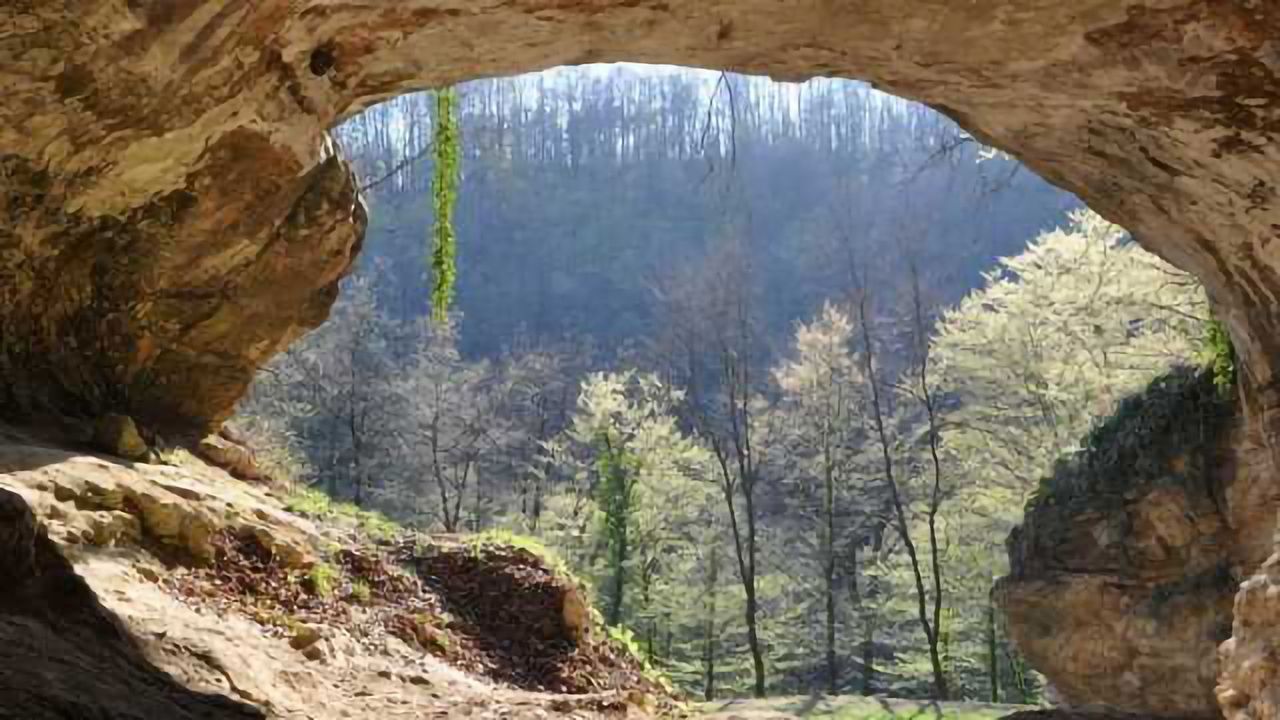 DNA from Extinct Humans Found in Cave Sediments
