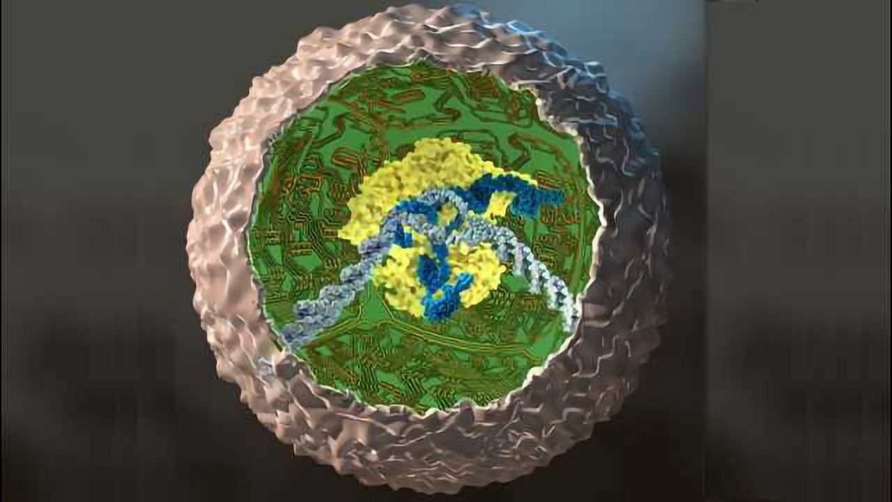 A CRISPR-based Cure for Arthritis