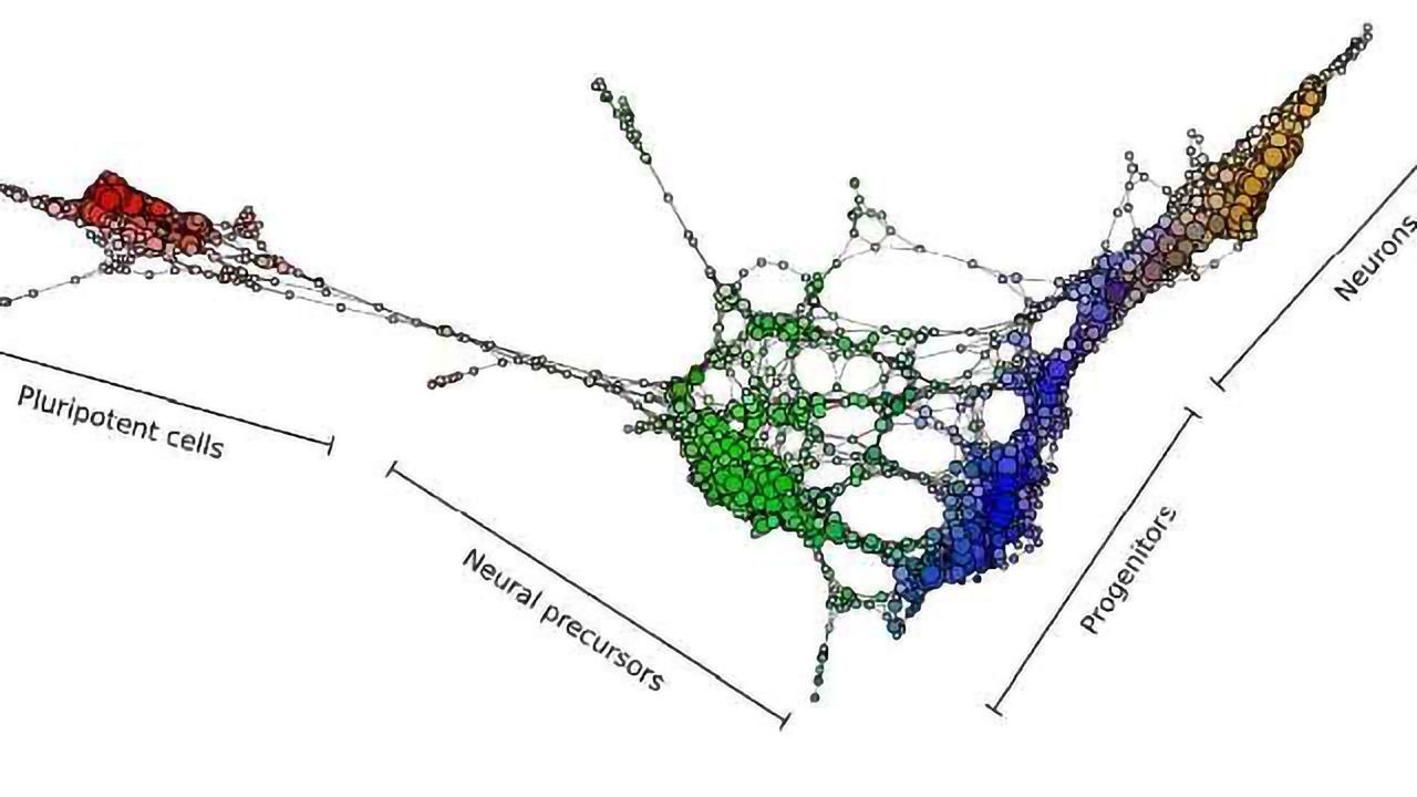 New Tool Provides Roadmap for Cell Development