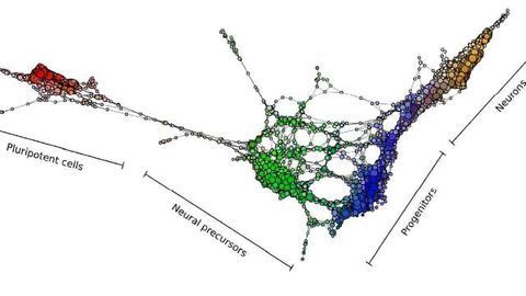 New Tool Provides Roadmap for Cell Development