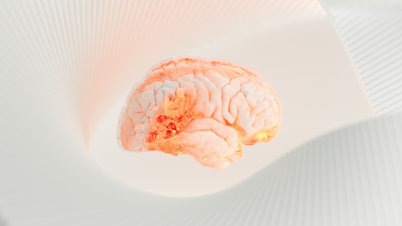 MRI Study of Bipolar Sufferers Reveals Structural Differences