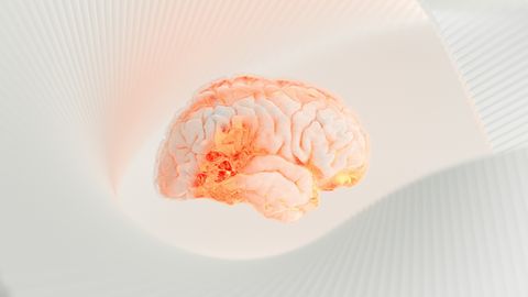 MRI Study of Bipolar Sufferers Reveals Structural Differences