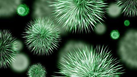 Mass Spec Method Rapidly Identifies Dangerous, Resistant Bacteria