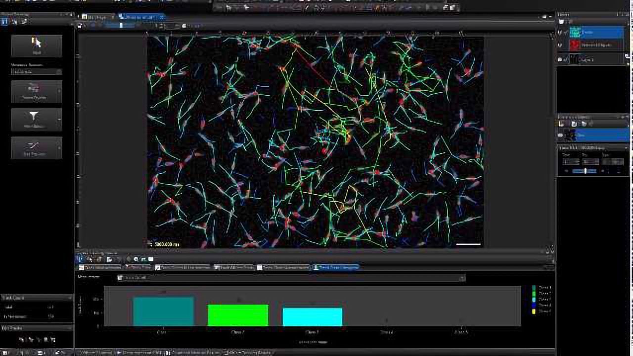 Stay on Track with cellSens 1.17