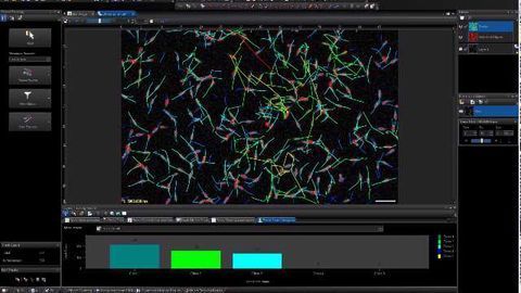 Stay on Track with cellSens 1.17
