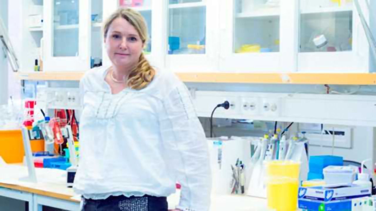 Cartilage Successfully Generated by 3D Bioprinting
