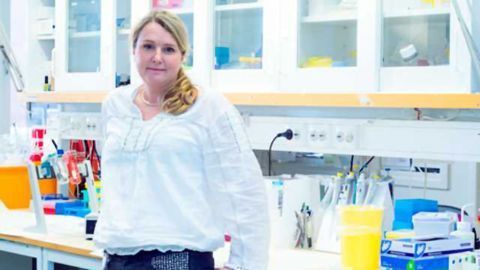 Cartilage Successfully Generated by 3D Bioprinting