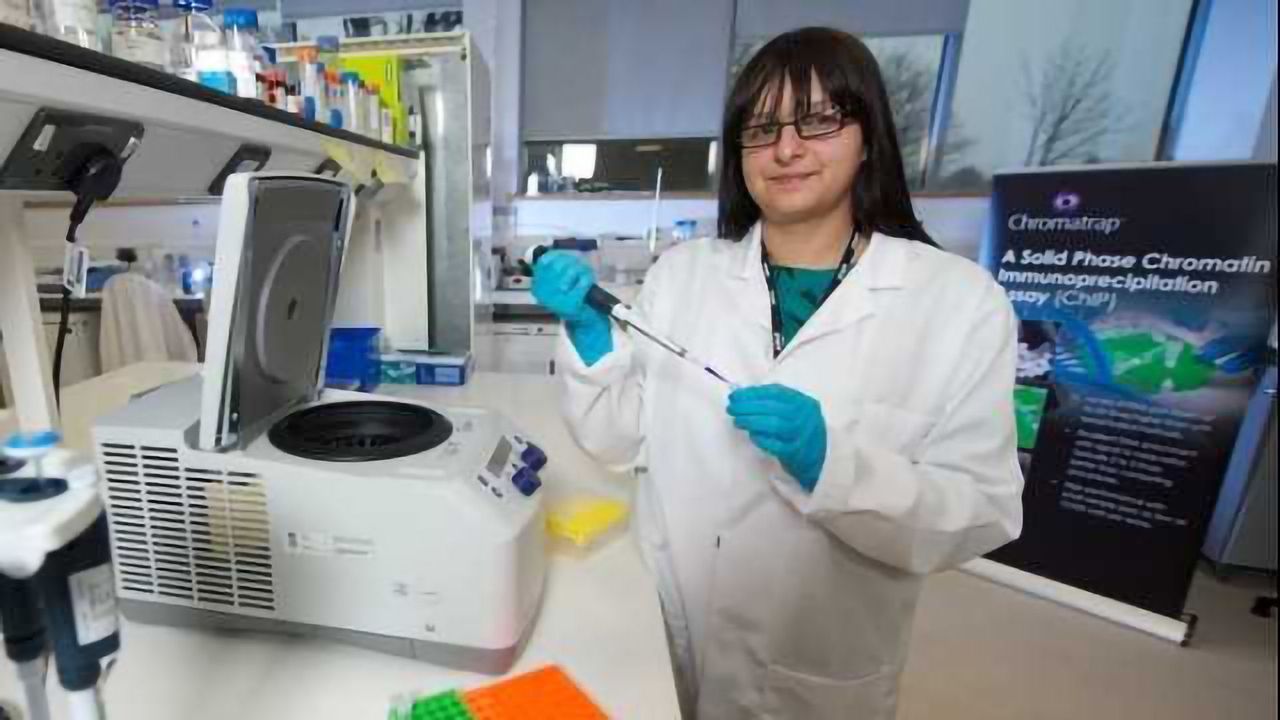 FFPE ChIP-seq Assay Kit for Tissues, Biopsies and Difficult to Lyse Samples