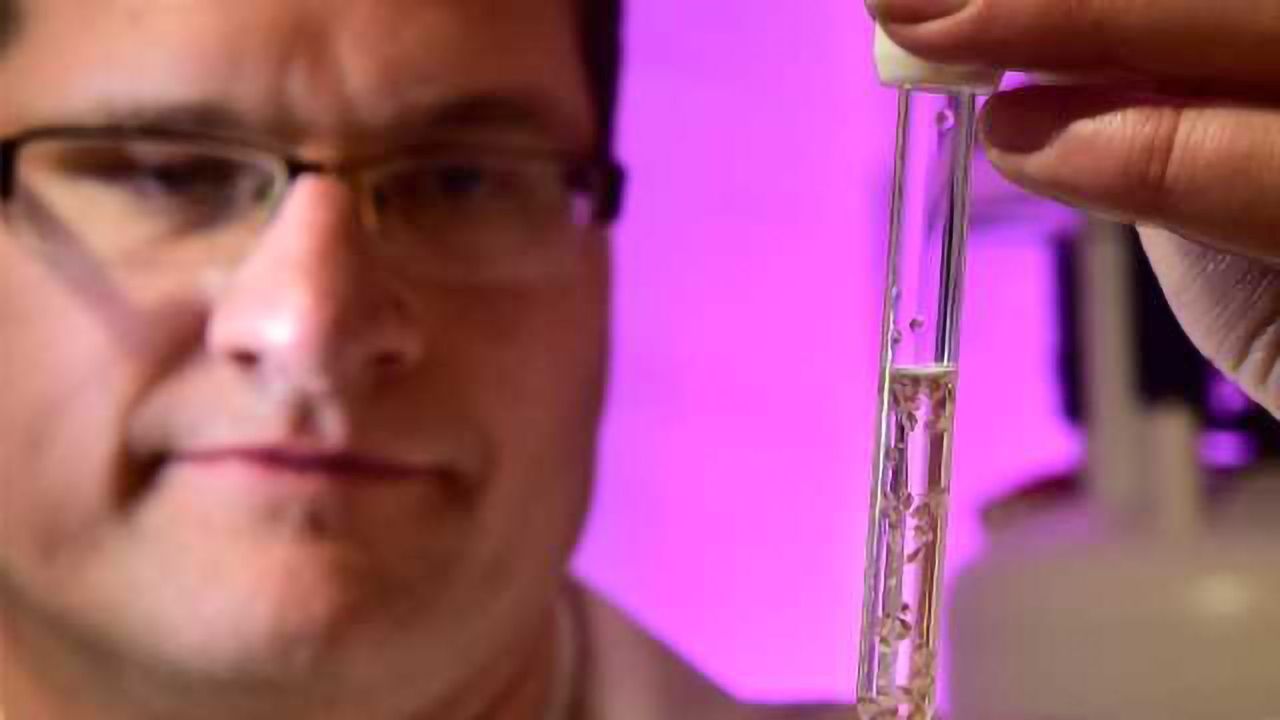 New Technique Provides “Molecular Window” into Living Organisms