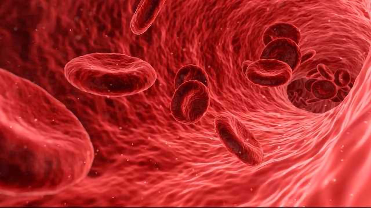 Automating Blood Cell Washing Applications to Boost Laboratory Performance