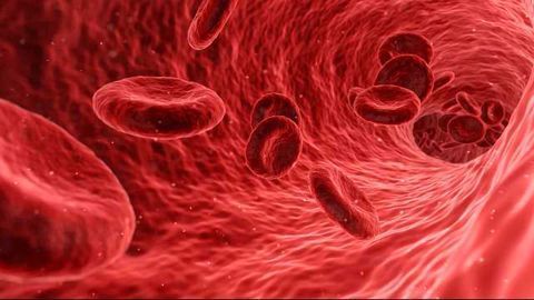 Automating Blood Cell Washing Applications to Boost Laboratory Performance