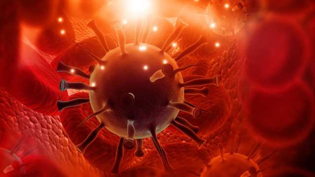 Reporter Lentivirus for Signaling Pathway Studies
