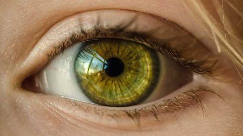 NIH Launches 3-D Retina Organoid Challenge