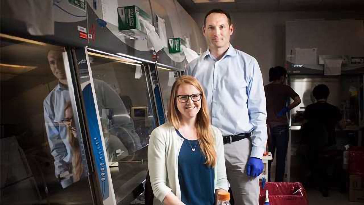 Tiny "Bronchospheres" Could Help Study Lung Diseases