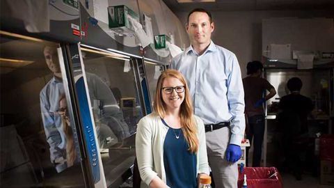 Tiny "Bronchospheres" Could Help Study Lung Diseases