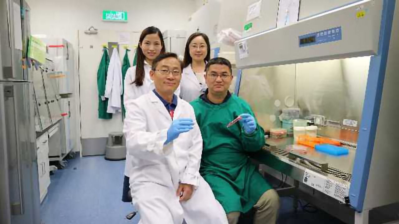 Spheropreservation Method Improves Stem Cell Storage