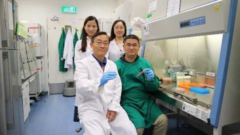 Spheropreservation Method Improves Stem Cell Storage