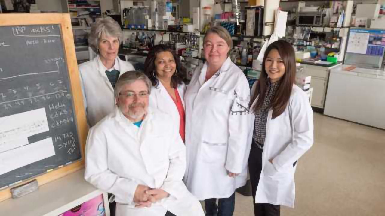 Low-cost, Low-tech Zika Surveillance Tool Developed