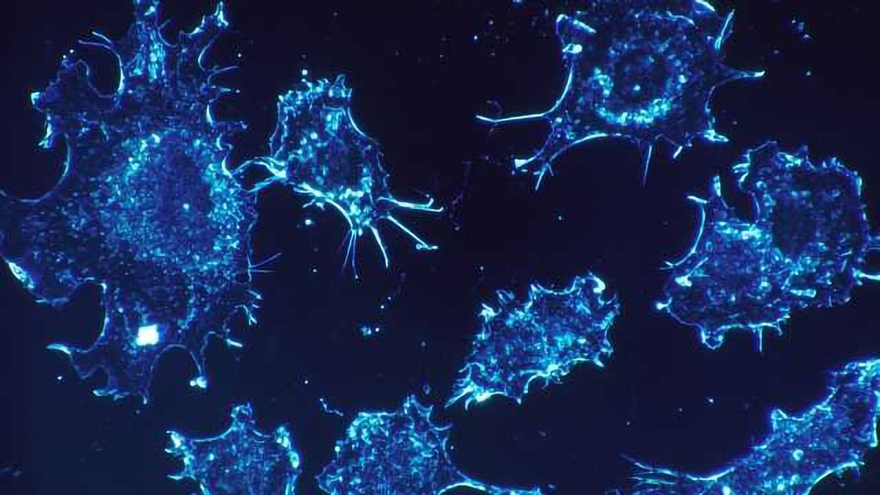 Revealing the Role of a Critical Cancer Protein